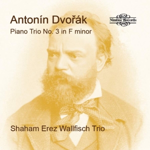 Dvorak Antonin - Piano Trio No. 3 In F Minor ryhmässä ME SUOSITTELEMME / Joululahjavinkki: CD @ Bengans Skivbutik AB (4258207)