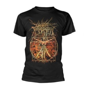 Cattle Decapitation - T/S Vitruvian (L) ryhmässä MERCH @ Bengans Skivbutik AB (4259809)