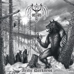 Black Beast - Arctic Darkness (Vinyl Lp) ryhmässä VINYYLI @ Bengans Skivbutik AB (4261270)