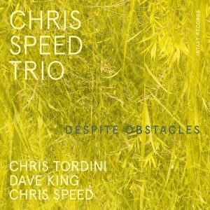 Chris Speed Trio - Despite Obstacles ryhmässä CD @ Bengans Skivbutik AB (4261651)