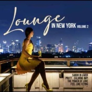 Various Artists - Lounge In New York Vol. 2 ryhmässä Musiikki / Dual Disc / Pop @ Bengans Skivbutik AB (4265513)