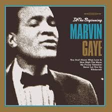 Gaye Marvin - In The Beginning (Vinyl Lp) ryhmässä VINYYLI @ Bengans Skivbutik AB (4275775)