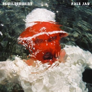 Pale Jay - Bewilderment ryhmässä VINYYLI @ Bengans Skivbutik AB (4278454)