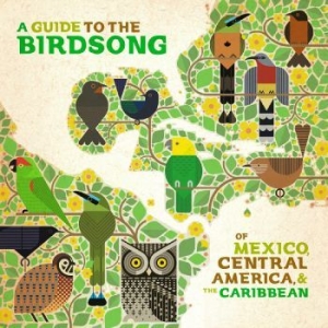 Various Artists - A Guide To The Birdsongs Of Mexico, ryhmässä VINYYLI @ Bengans Skivbutik AB (4281690)