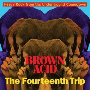 Various artists - Brown Acid - The Fourteenth Trip ryhmässä VINYYLI @ Bengans Skivbutik AB (4286251)