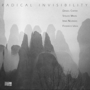 Carter Daniel Stelios Mihas Irma Ne - Radical Invisibility ryhmässä VINYYLI @ Bengans Skivbutik AB (4287316)