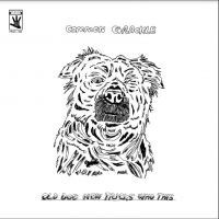 Common Grackle - Old Dog New Tricks Who This ryhmässä VINYYLI @ Bengans Skivbutik AB (4287337)