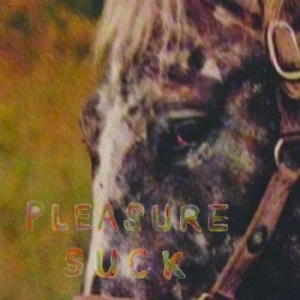 Spirit Of The Beehive - Pleasure Suck (Transparent Orange V ryhmässä VINYYLI @ Bengans Skivbutik AB (4287751)