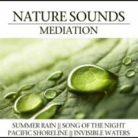 Various Artists - Nature Sounds Meditation ryhmässä CD @ Bengans Skivbutik AB (4290593)