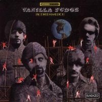 Vanilla Fudge - Renaissance ryhmässä CD @ Bengans Skivbutik AB (4290982)