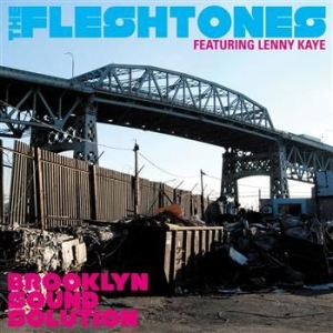 Fleshtones The - Brooklyn Sound Solution (Deluxe) ryhmässä CD @ Bengans Skivbutik AB (4291055)