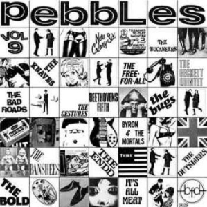 Various Artists - Pebbles Vol. 9: Original Punk Rock ryhmässä VINYYLI @ Bengans Skivbutik AB (4292703)