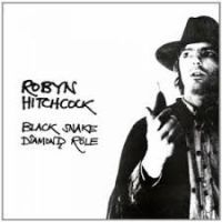 Hitchcock Robyn - Black Snake Diamond Role ryhmässä CD @ Bengans Skivbutik AB (4293532)