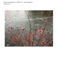 Norbert Rodenkirchen/Robbie Lee/Jam - Opalescence ryhmässä CD @ Bengans Skivbutik AB (4294595)