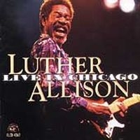 Allison Luther - Live In Chicago ryhmässä CD @ Bengans Skivbutik AB (4296035)