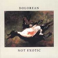 Dolorean - Not Exotic ryhmässä CD @ Bengans Skivbutik AB (4296064)