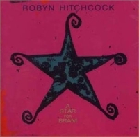 Hitchcock Robyn - A Star For Bram ryhmässä CD @ Bengans Skivbutik AB (4296085)