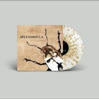 Splendidula - Splendidula (Milky Clear W/ Gold Sp ryhmässä VINYYLI @ Bengans Skivbutik AB (4298317)