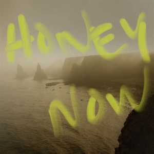 Neon Waltz - Honey Now ryhmässä VINYYLI @ Bengans Skivbutik AB (4298517)