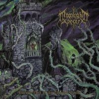 Moonlight Sorcery - Horned Lord Of The Thorned Castle ( ryhmässä VINYYLI @ Bengans Skivbutik AB (4303837)