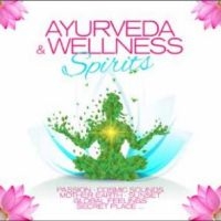 Various Artists - Ayurveda & Wellness Spirits ryhmässä CD @ Bengans Skivbutik AB (4304362)