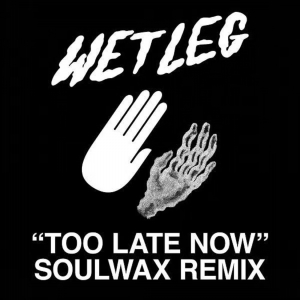 Wet Leg - Too Late Now (Soulwax Remix) ryhmässä VINYYLI @ Bengans Skivbutik AB (4304528)