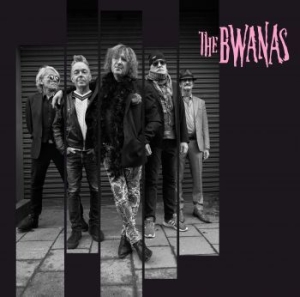 The Bwanas - The Bwanas ryhmässä VINYYLI @ Bengans Skivbutik AB (4305138)