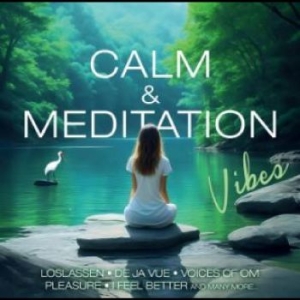 Various Artists - Calm & Meditation Vibes ryhmässä Musiikki / Dual Disc / Pop @ Bengans Skivbutik AB (4305560)