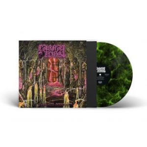 Carnal Tomb - Embalmed In Decay (Lime Marbled Vin ryhmässä VINYYLI @ Bengans Skivbutik AB (4308278)