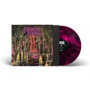 Carnal Tomb - Embalmed In Decay (Magenta Marbled ryhmässä VINYYLI @ Bengans Skivbutik AB (4308279)