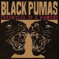 Black Pumas - Chronicles Of A Diamond (Clear Vinyl) ryhmässä Minishops / Black Pumas @ Bengans Skivbutik AB (4310808)