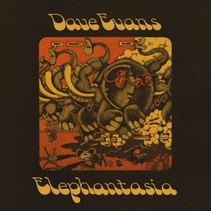 Evans Dave - Elephantasia ryhmässä ME SUOSITTELEMME / Joululahjavinkki: Vinyyli @ Bengans Skivbutik AB (4312180)