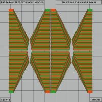PASSARANI PRESENTS DAVID WOODS - SHUFFLING THE CARDS AGAIN ryhmässä VINYYLI @ Bengans Skivbutik AB (4312519)