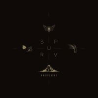 SPURV - BREFJÆRE (VINYL LP) ryhmässä VINYYLI @ Bengans Skivbutik AB (4312995)