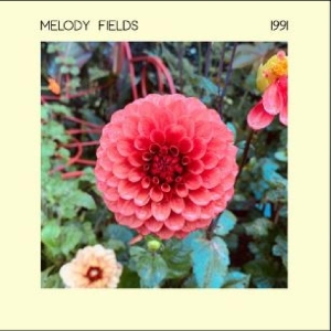 MELODY FIELDS - 1991 ryhmässä VINYYLI @ Bengans Skivbutik AB (4313064)