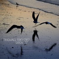 TINGVALL TRIO - BIRDS ryhmässä VINYYLI @ Bengans Skivbutik AB (4313107)