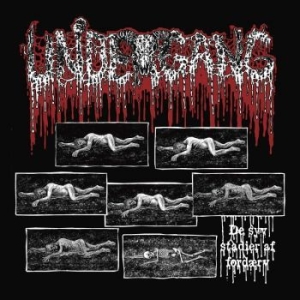 Undergang - De Syv Stadier Af Fordaerv ryhmässä CD @ Bengans Skivbutik AB (4313837)