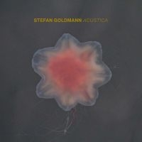 Stefan Goldmann - Acustica ryhmässä CD @ Bengans Skivbutik AB (4314531)