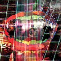 Animal Collective - Centipede Hz ryhmässä VINYYLI @ Bengans Skivbutik AB (484056)