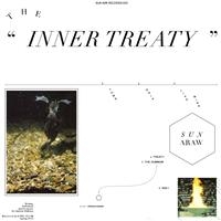 Sun Araw - The Inner Treaty ryhmässä VINYYLI @ Bengans Skivbutik AB (484717)