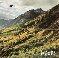 Woods - Songs Of Shame ryhmässä VINYYLI @ Bengans Skivbutik AB (485165)