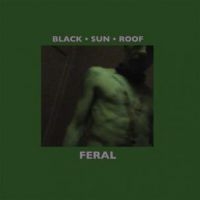 Black Sun Roof - Feral (Lp+Cd) ryhmässä VINYYLI @ Bengans Skivbutik AB (485852)