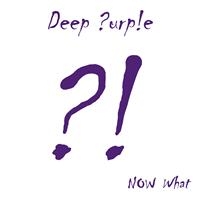 DEEP PURPLE - NOW WHAT?! ryhmässä Minishops / Deep Purple @ Bengans Skivbutik AB (487031)