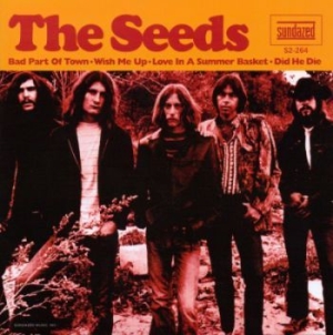 Seeds - Bad Part Of Town (2X7) ryhmässä ME SUOSITTELEMME / Klassiska lablar / Sundazed / Sundazed Vinyl @ Bengans Skivbutik AB (489340)