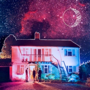 Tripwires - Spacehopper ryhmässä VINYYLI @ Bengans Skivbutik AB (492839)