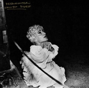 Deerhunter - Halcyon Digest ryhmässä ME SUOSITTELEMME / Bäst Album Under 10-talet / Bäst Album Under 10-talet - Pitchfork @ Bengans Skivbutik AB (492849)