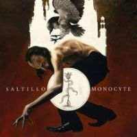 Saltillo - Monocyte: The Lapis Coil ryhmässä VINYYLI @ Bengans Skivbutik AB (493128)