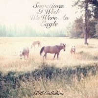 Callahan Bill - Sometimes I Wish We Were An Eagle ryhmässä VINYYLI @ Bengans Skivbutik AB (493161)