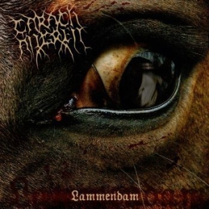 Carach Angren - Lammendam (2 Vinyl Lp) ryhmässä ME SUOSITTELEMME / Joululahjavinkki: Vinyyli @ Bengans Skivbutik AB (494016)