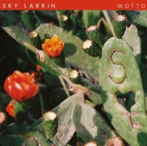 Sky Larkin - Motto ryhmässä ME SUOSITTELEMME / Joululahjavinkki: Vinyyli @ Bengans Skivbutik AB (499710)